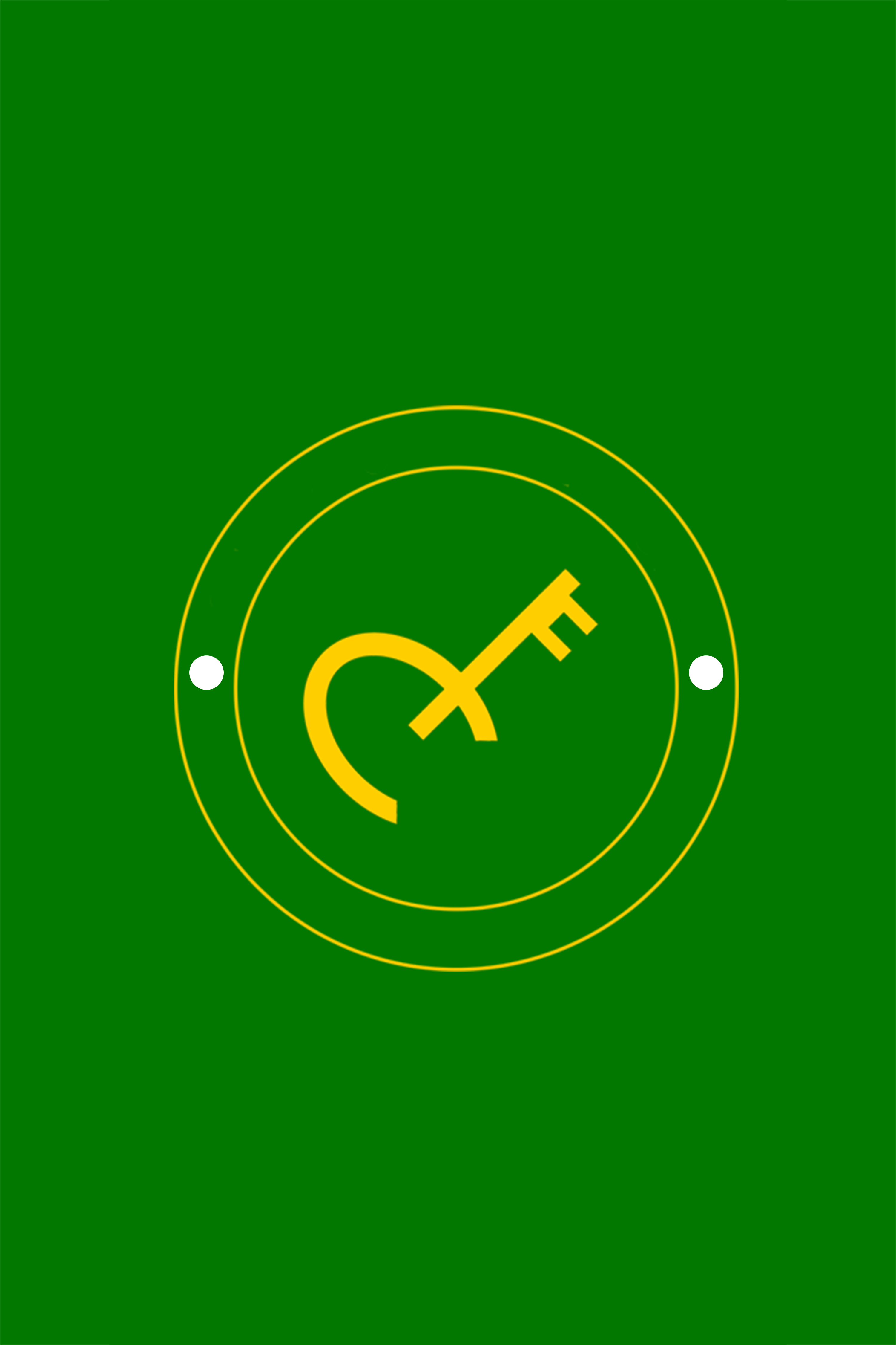 Drapeau Piste President 2